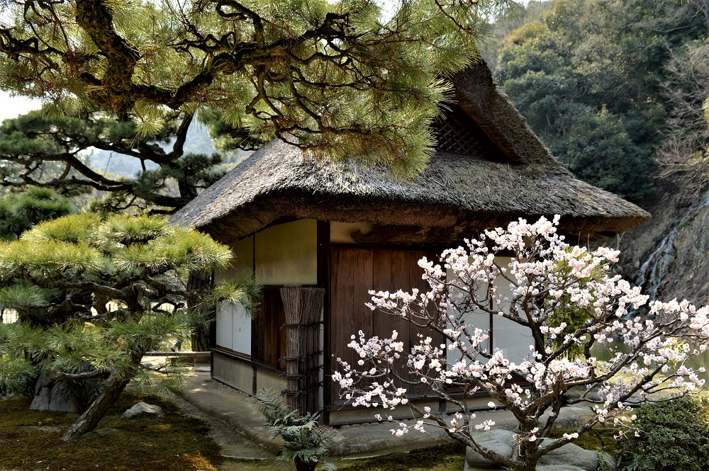 数寄屋建築