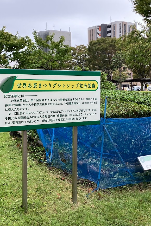 日本茶を愉しむ会のお知らせ（2025年11月）